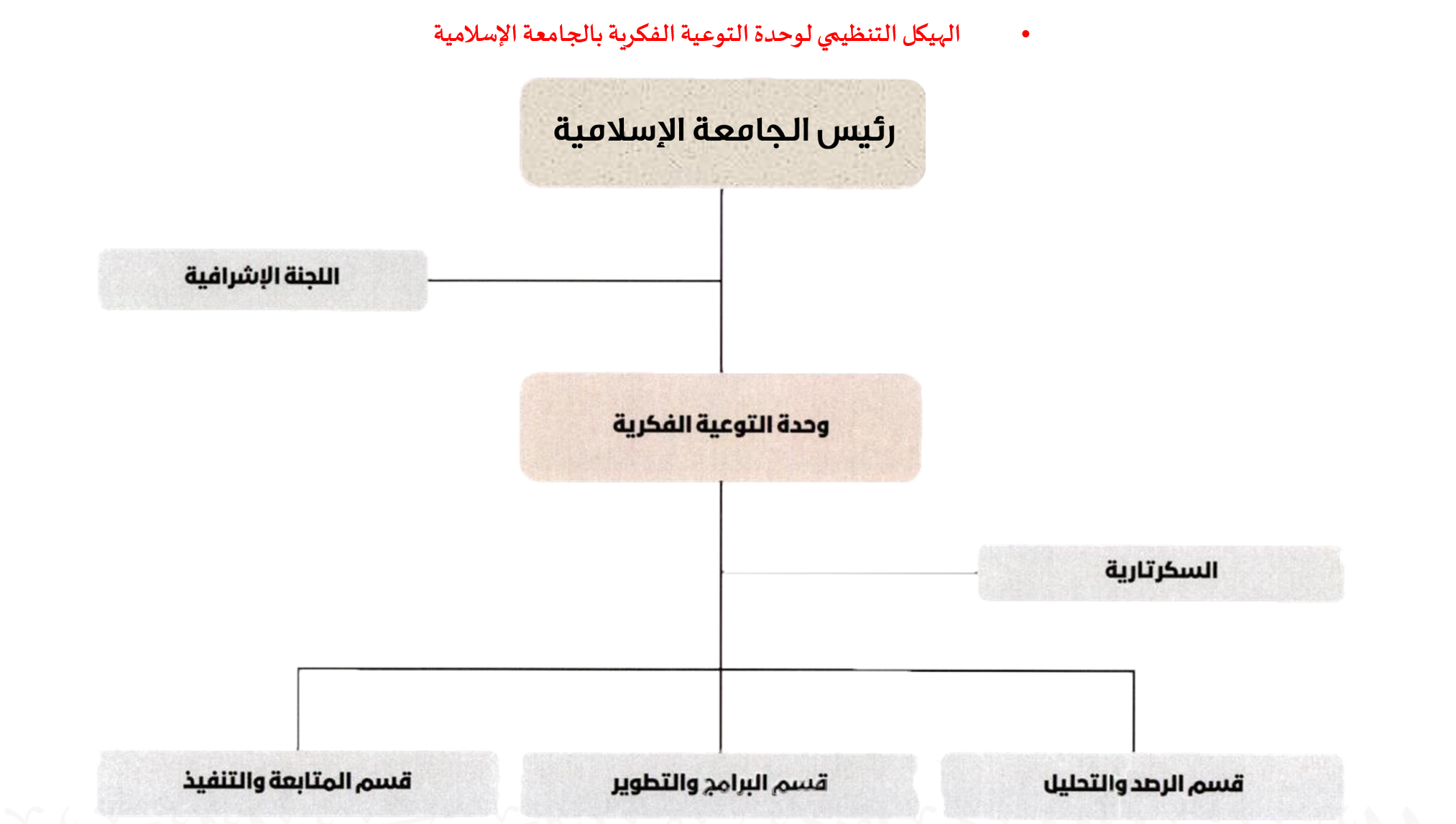 الهيكل التنظيمي